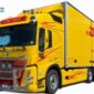 Bull Bar Freeway Volvo FM 2021-