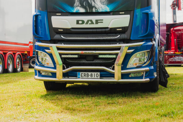 Bull Bar Lite DAF XF 106