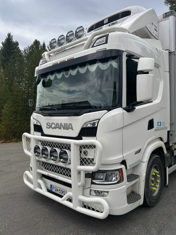 Bull Bar Freeway Scania NextGen G 2017- - Bild 3