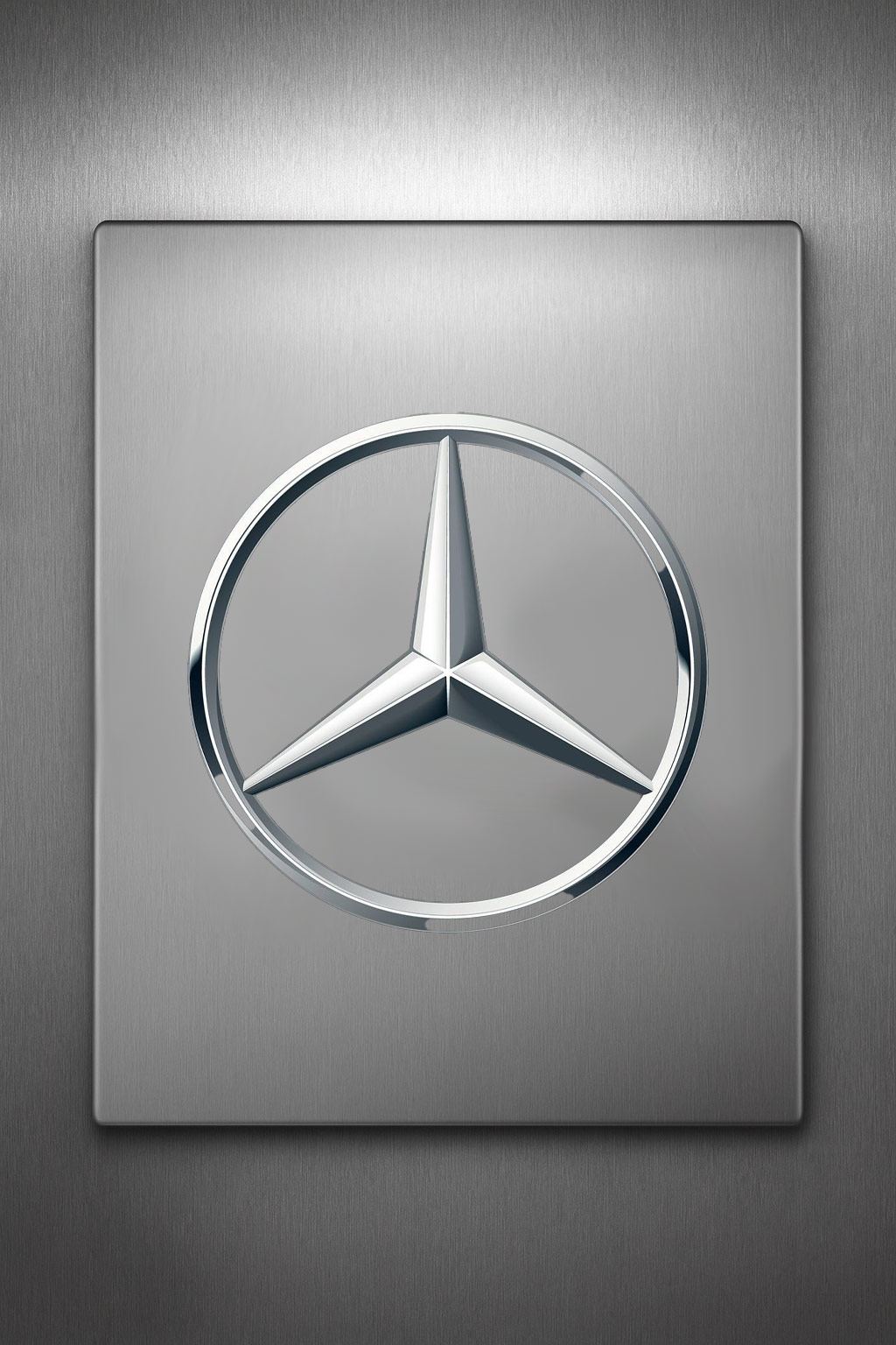 Mercedes-Benz Plow bars